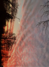 Guest_Nikkiiii420