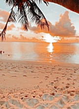 Guest_emilyurgirl18