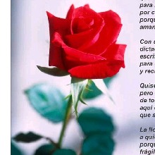 Guest_VianneyCastilloCasti