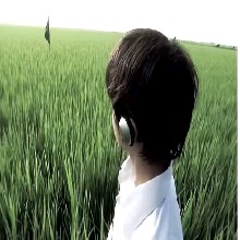 Guest_Tnkanallha