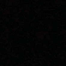 Guest_BRAZZILY