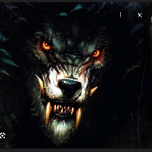 Guest_SleepingWolf25