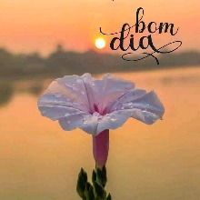 Guest_pretinha18