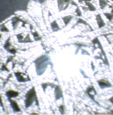 Guest_JoryKnight