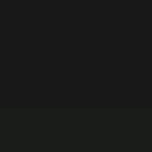 Nando559099