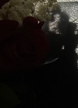Guest_Arely34