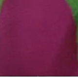 Guest_Mochaaa6