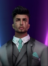 lightbrownmanate4d17
