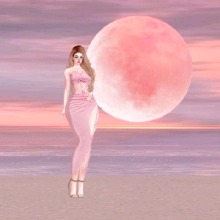 Guest_MONASAY