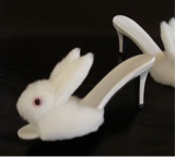 Guest_Bunnylyly