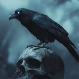 Guest_Raven452120