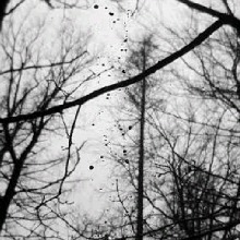 Guest_GbJota