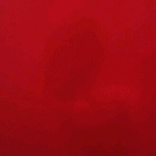 Guest_Janiyah971409