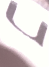 Guest_carlos45696