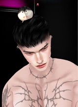 Guest_Robv