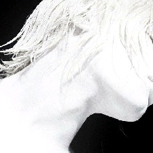 Guest_msiriwhitesmoked403