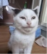 Guest_xxnanip