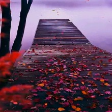 Guest_Je162394