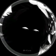 Guest_Zack785780