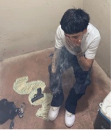 Guest_fernbajapanty