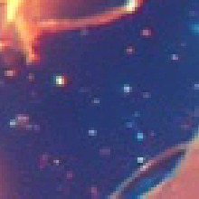 Guest_Palhaodomal