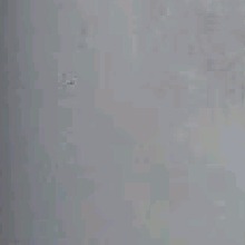 Guest_Lorranny23