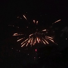 Guest_Alexxzz2