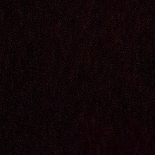 Guest_Dark20251