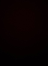 Guest_Wick533692