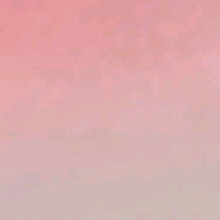 Guest_Clara965706