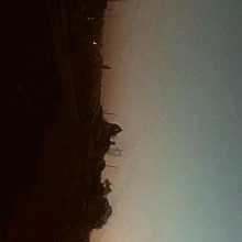 Guest_homelyroyalfuchse3d6