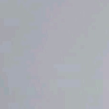 Guest_Xav00