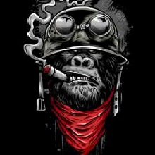 Guest_icydarkslategrayeb50