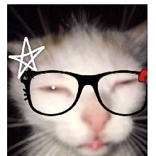 avpic