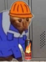 KOALKO