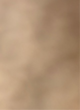 Guest_jayden164689