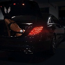Guest_Arthur463232