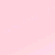 Guest_Sofi463243