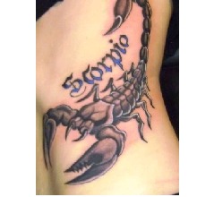 Guest_SCORPION427960