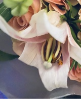Guest_hazel209788