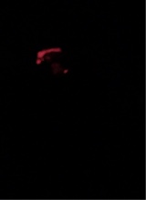 Guest_AntonioHernandez7