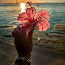 Guest_Laiany8
