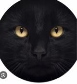 Guest_HarleenQuinzel13
