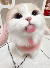 Guest_Babymy3