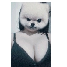 Guest_BellaGrace3