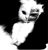 creeedz