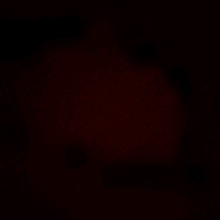 Guest_Piyuu1