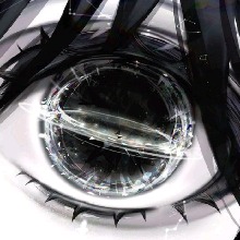Guest_Leolith