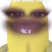 Guest_Frank92