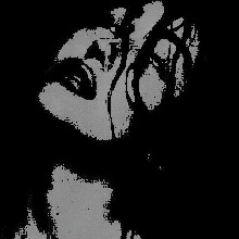 Guest_Ferr13